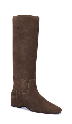 BOTTINES DANTELLE en . Taille 6. Also en 7.5, 8 - Steve Madden - Modalova