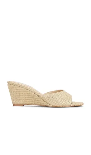 SANDALES SELESTE en . Taille 10. Also en 6, 7 - Steve Madden - Modalova