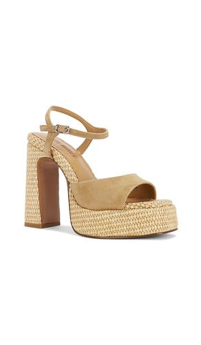 SANDALES LIANDRA en . Taille 10. Also en 9 - Steve Madden - Modalova