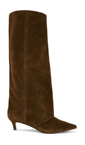 BOTTINES SHAI en . Taille 6. Also en 6.5, 7, 7.5, 8, 8.5 - Steve Madden - Modalova