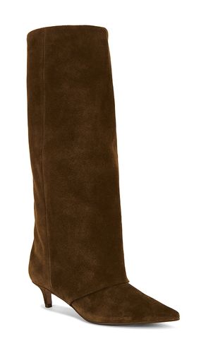BOTTINES SHAI en . Taille 6. Also en 6.5, 7, 7.5, 8, 8.5 - Steve Madden - Modalova