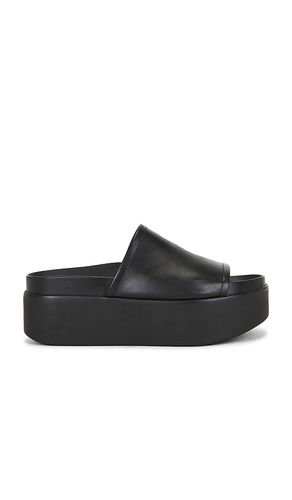 SANDALES ARWEN en . Taille 8. Also en 8.5, 9, 9.5 - Steve Madden - Modalova