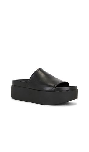 SANDALES ARWEN en . Taille 8. Also en 8.5, 9, 9.5 - Steve Madden - Modalova
