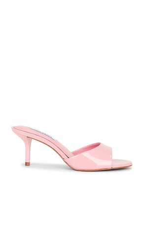 SANDALES KENDRIX en . Taille 10. Also en 7.5 - Steve Madden - Modalova