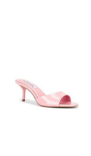 SANDALES KENDRIX en . Taille 10. Also en 7.5 - Steve Madden - Modalova