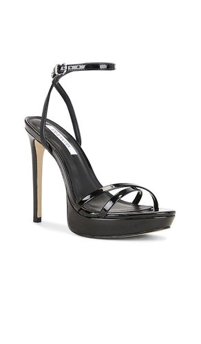 SANDALES JUNI en . Taille 5.5. Also en - Steve Madden - Modalova