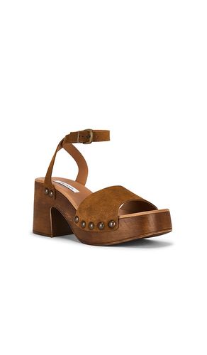 SANDALES KARSIN en . Taille 7. Also en 8, 9, 10 - Steve Madden - Modalova