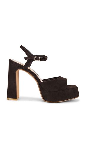 SANDALES LIANDRA en . Taille 10. Also en 6, 8, 8.5, 9, 9.5 - Steve Madden - Modalova