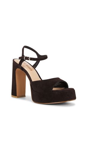 SANDALES LIANDRA en . Taille 10. Also en 8.5, 9, 9.5 - Steve Madden - Modalova
