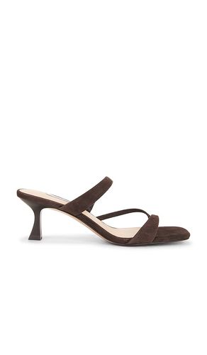 SANDALES AJAY en . Taille 7. Also en 9 - Steve Madden - Modalova