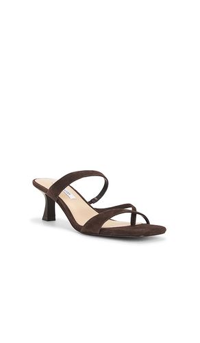 SANDALES AJAY en . Taille 8.5. Also en 9 - Steve Madden - Modalova