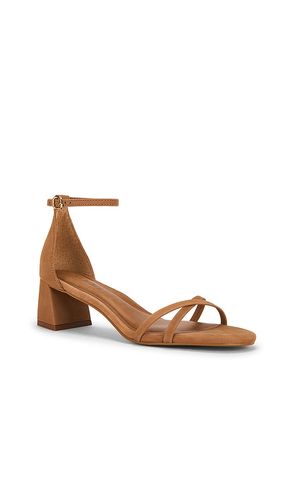 SANDALE À TALON AVEC BRIDE À LA CHEVILLE RAE en . Taille 10. Also en 6, 7.5, 8, 8.5, 9, 9.5 - Steve Madden - Modalova