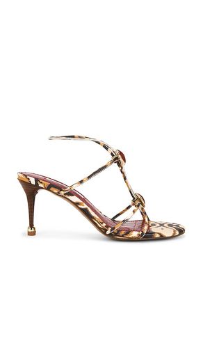 SANDALES AVEC LANIÈRES RAMOS en . Taille 7. Also en 7.5 - Steve Madden - Modalova