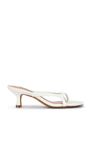 SANDALES BRIENNA en . Taille 10. Also en 6, 6.5, 7.5, 8, 8.5, 9, 9.5 - Steve Madden - Modalova