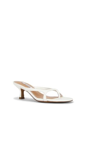 SANDALES BRIENNA en . Taille 10. Also en 6, 6.5, 7.5, 8, 8.5, 9, 9.5 - Steve Madden - Modalova