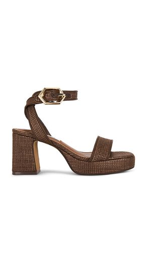 SANDALES ELIDA en . Taille 5.5. Also en 6, 7, 8, 9, 9.5, 10, 11 - Steve Madden - Modalova
