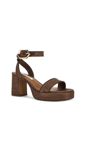SANDALES ELIDA en . Taille 5.5. Also en 6, 7, 8, 9, 9.5, 10, 11 - Steve Madden - Modalova