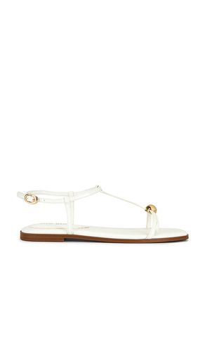 SANDALES RITZY en . Taille 6.5. Also en 7, 7.5, 8, 8.5, 9 - Steve Madden - Modalova
