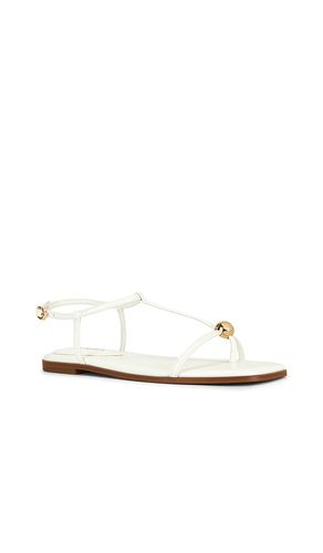 SANDALES RITZY en . Taille 6. Also en 6.5, 7, 7.5, 8, 8.5, 10 - Steve Madden - Modalova