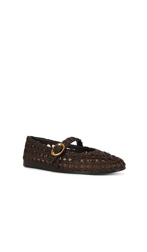 PLATES MELODY en . Taille 10. Also en 6, 6.5, 7, 7.5, 8, 9, 9.5 - Steve Madden - Modalova