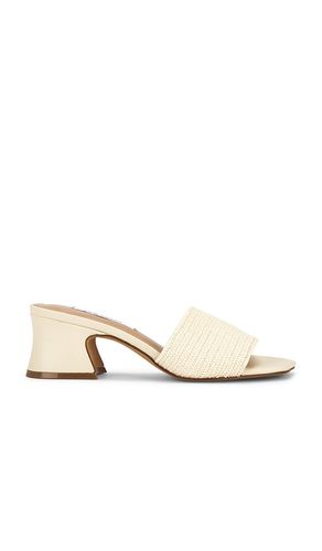 SANDALES FROLIC en . Taille 10. Also en 6, 8 - Steve Madden - Modalova