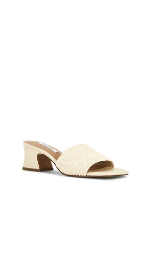 SANDALES FROLIC en . Taille 10. Also en 6, 9 - Steve Madden - Modalova