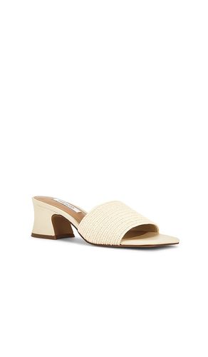 SANDALES FROLIC en . Taille 10. Also en 6 - Steve Madden - Modalova