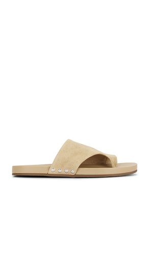 SANDALES KESSEY en . Taille 10. Also en 6, 6.5, 7.5, 8, 8.5, 9.5 - Steve Madden - Modalova