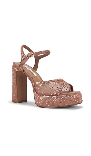 ESCARPINS À PATINS LIANDRA-R en . Taille 6.5. Also en 7, 7.5, 8, 8.5, 9, 9.5, 11 - Steve Madden - Modalova