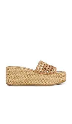 SANDALES BRANDY en . Taille 8. Also en 8.5, 9, 9.5, 10 - Steve Madden - Modalova