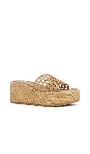 SANDALES BRANDY en . Taille 10. Also en 8.5, 9, 9.5 - Steve Madden - Modalova