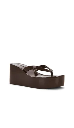 TONGS JELLA en . Taille 10. Also en 8, 9 - Steve Madden - Modalova