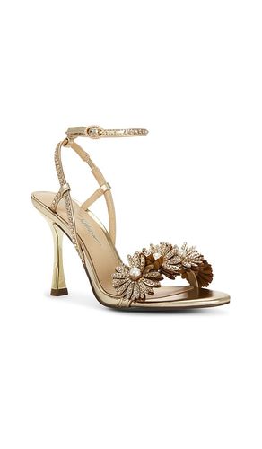 SANDALES MYLEE en . Taille 10. Also en 6.5, 7, 7.5, 8, 8.5 - Steve Madden - Modalova