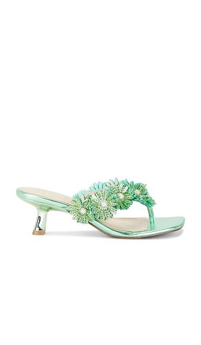 SANDALES LESLI en . Taille 6. Also en 6.5, 7, 7.5, 8, 9 - Steve Madden - Modalova