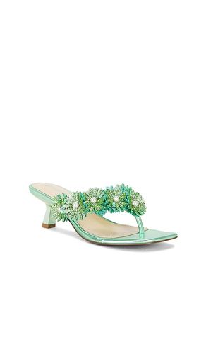 SANDALES LESLI en . Taille 6. Also en 6.5, 7, 7.5, 8, 9 - Steve Madden - Modalova