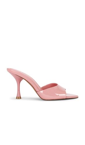 SANDALES ELSBETH en . Taille 10. Also en 6.5, 8.5, 9.5 - Steve Madden - Modalova