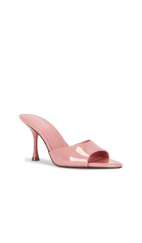 SANDALES ELSBETH en . Taille 10. Also en 6.5, 8.5, 9.5 - Steve Madden - Modalova