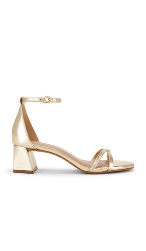 SANDALES RAE en . Taille 10. Also en 9 - Steve Madden - Modalova