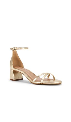 SANDALES RAE en . Taille 6.5. Also en - Steve Madden - Modalova