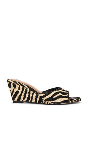 SANDALES SELESTE en ,. Taille 6. Also en - Steve Madden - Modalova