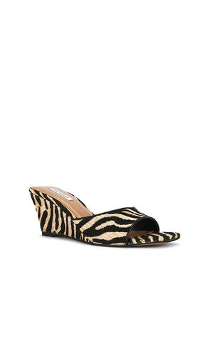 SANDALES SELESTE en ,. Taille 5.5. Also en 6, 6.5, 7, 7.5, 8, 8.5, 9, 9.5, 10 - Steve Madden - Modalova