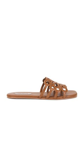 SANDALES LOTUS en . Taille 10. Also en 6, 6.5, 8.5 - Steve Madden - Modalova