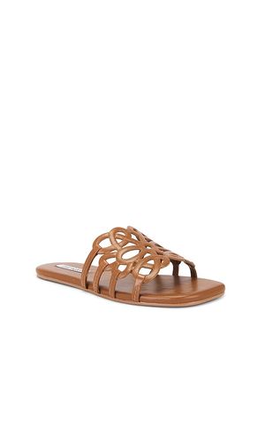SANDALES LOTUS en . Taille 6. Also en 6.5, 7.5, 8.5, 10 - Steve Madden - Modalova