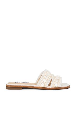 SANDALES HADYN en . Taille 10. Also en 6, 7.5, 8 - Steve Madden - Modalova