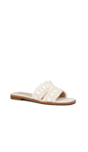 SANDALES HADYN en . Taille 10. Also en 6, 7.5, 8 - Steve Madden - Modalova