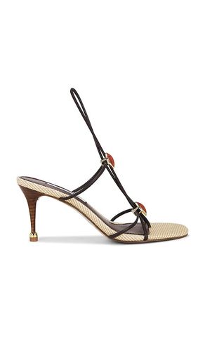 SANDALES AVEC LANIÈRES RAMOS en . Taille 7. Also en - Steve Madden - Modalova