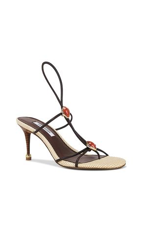 SANDALES AVEC LANIÈRES RAMOS en . Taille 10. Also en 8 - Steve Madden - Modalova