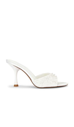 SANDALES SANTI en . Taille 10. Also en 7 - Steve Madden - Modalova