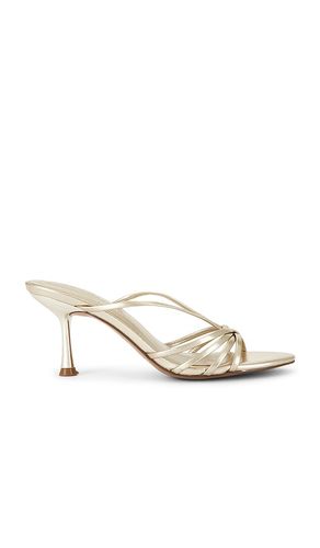SANDALES EDNA en . Taille 10. Also en 8 - Steve Madden - Modalova