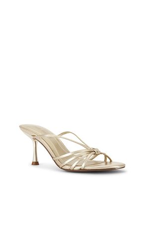 SANDALES EDNA en . Taille 10. Also en 6 - Steve Madden - Modalova